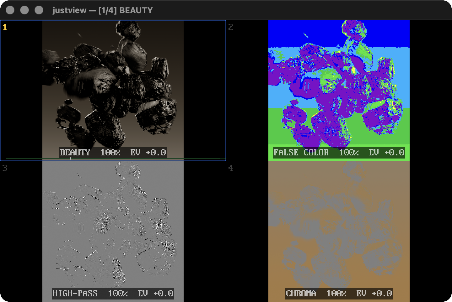 justview showing beauty, false color, high-pass, and chroma views in four split panes